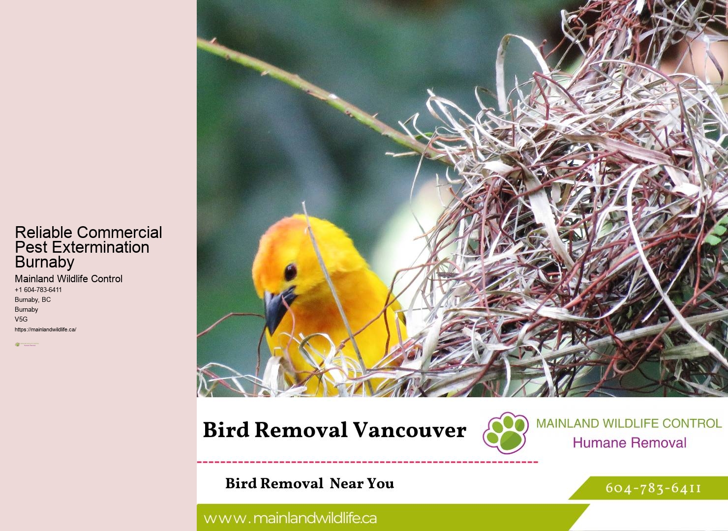 Experienced Pest Control Technicians Burnaby
