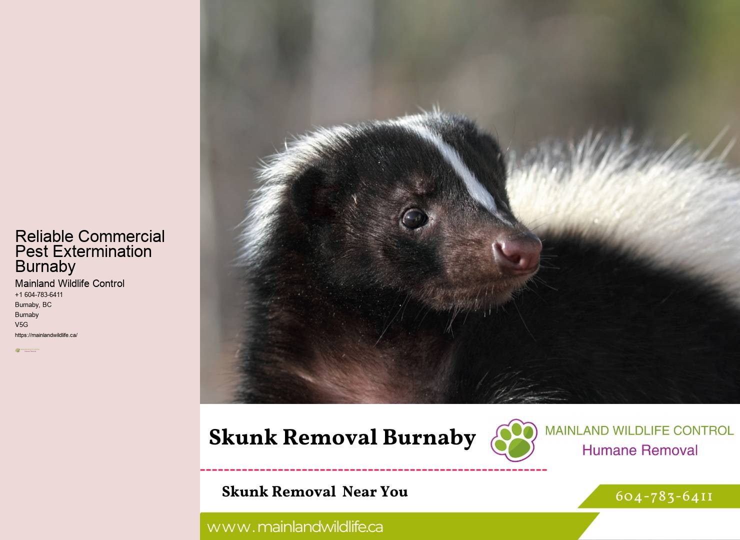 Top-rated Commercial Pest Eradication Burnaby