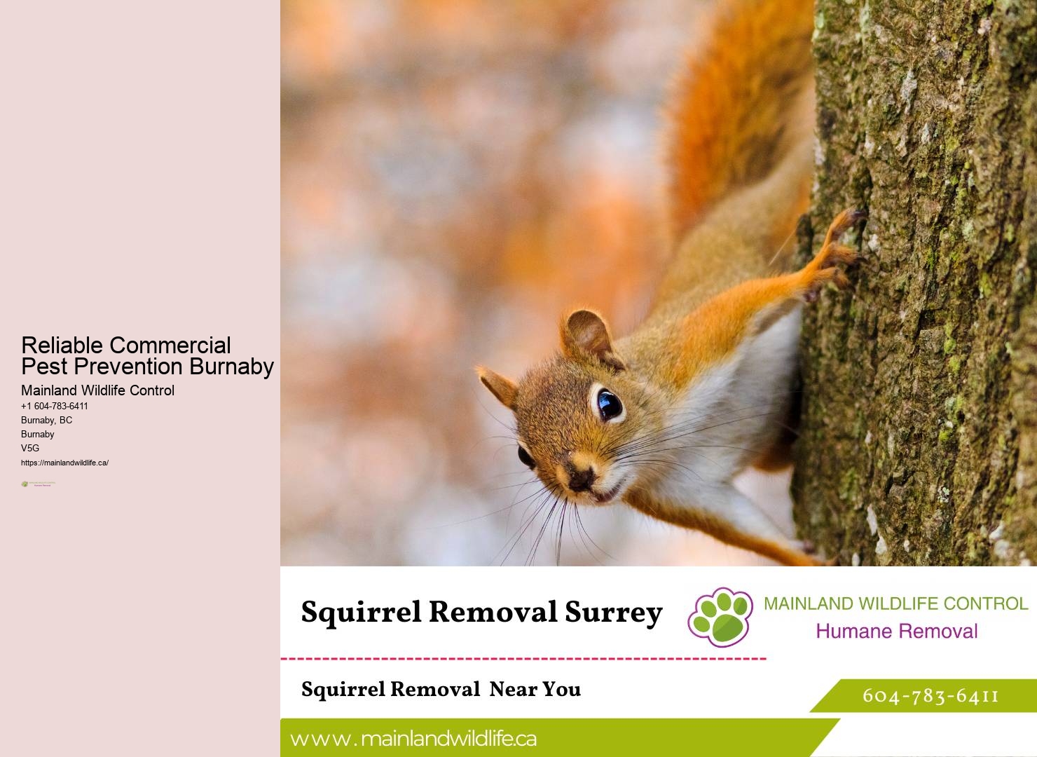 Predictive Pest Control Solutions Burnaby