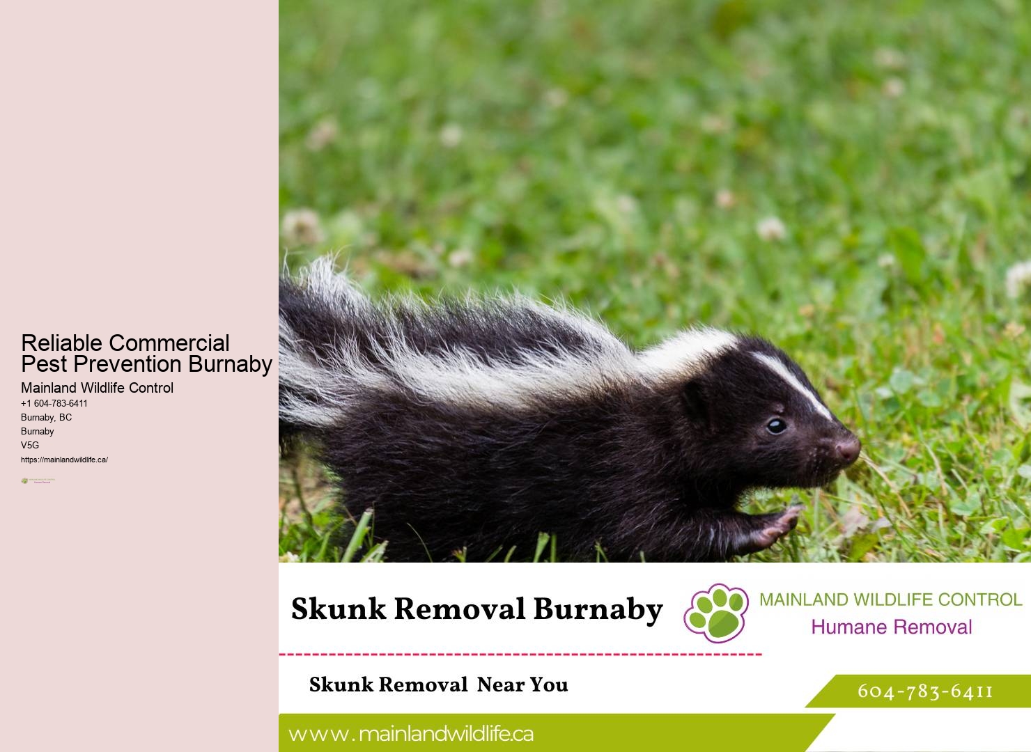 Comprehensive Residential Pest Control Burnaby