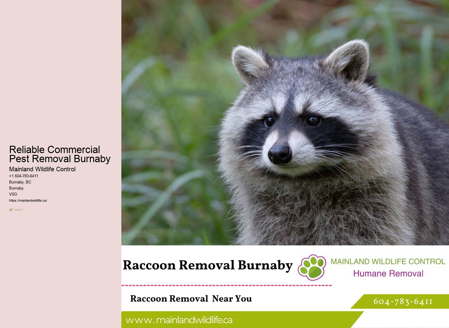 Advanced Residential Pest Control Burnaby