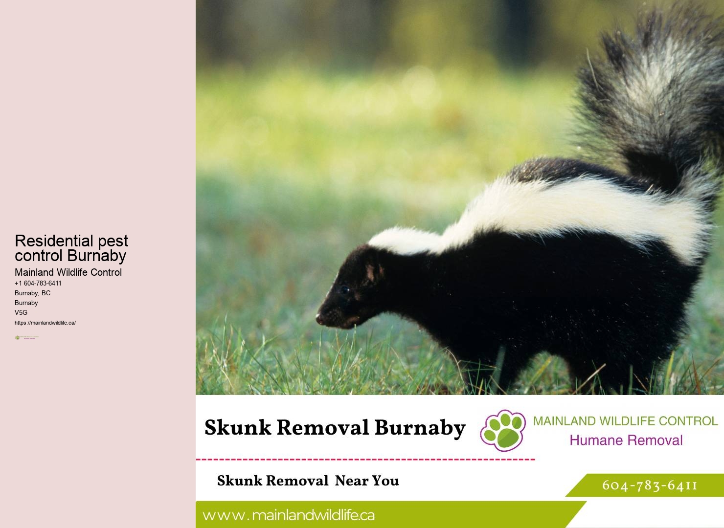 Top-rated Commercial Pest Extermination Services Burnaby