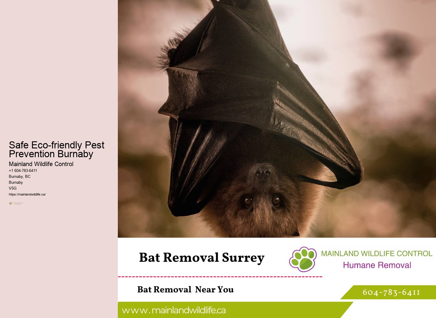Professional Pest Control Technicians Burnaby