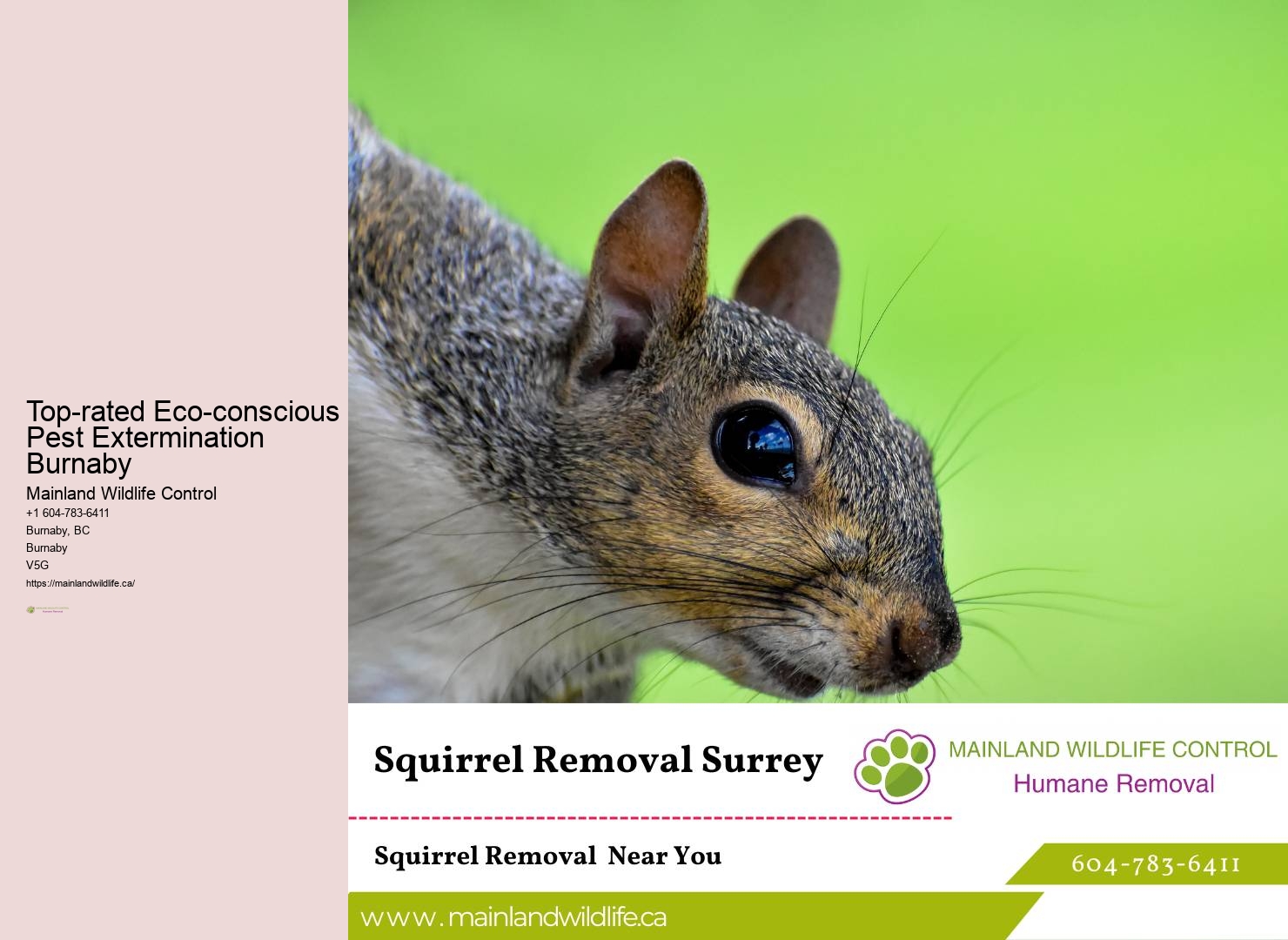 Reliable Commercial Pest Prevention Burnaby