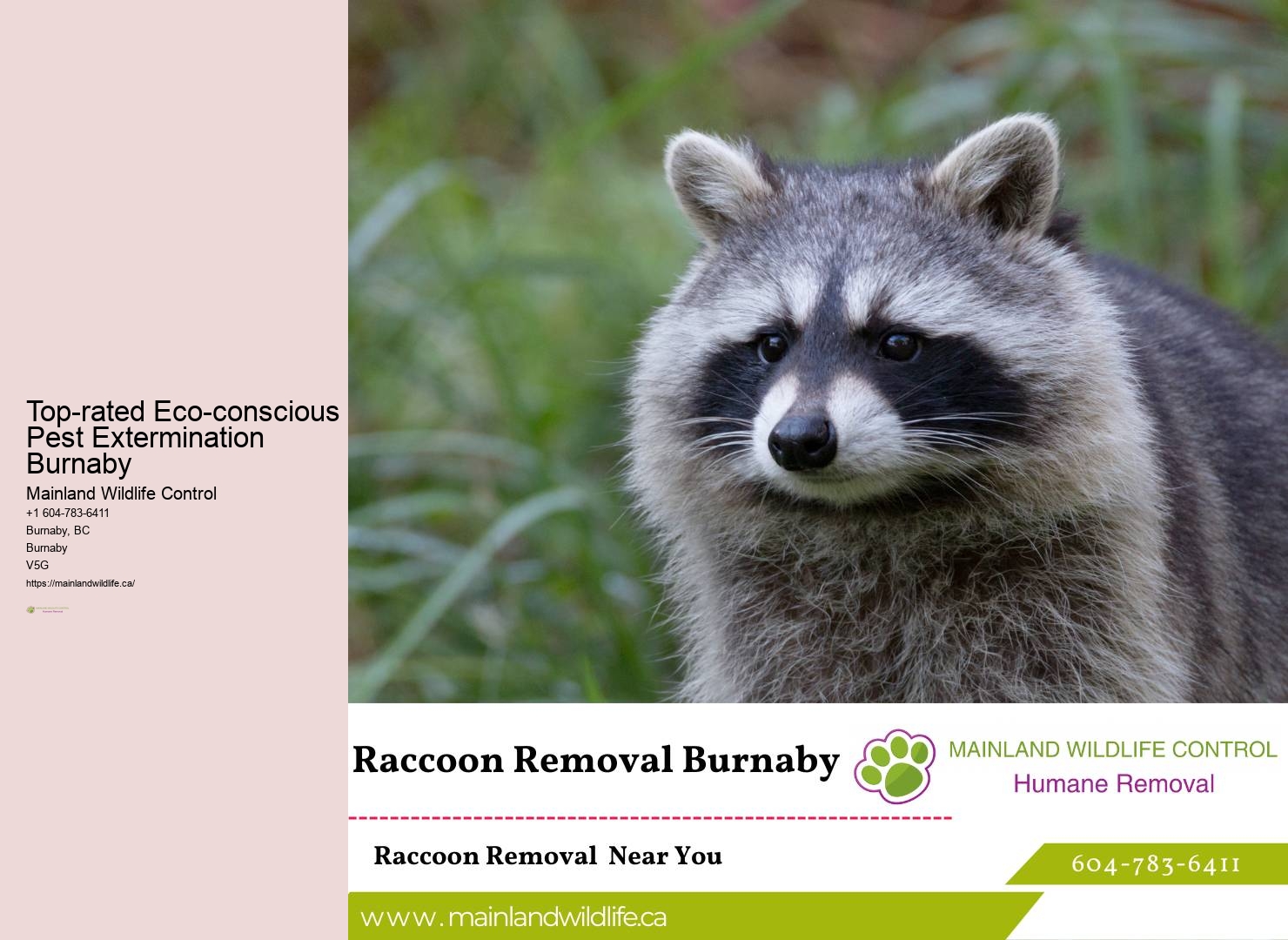 Best-in-class Pest Control Services Burnaby