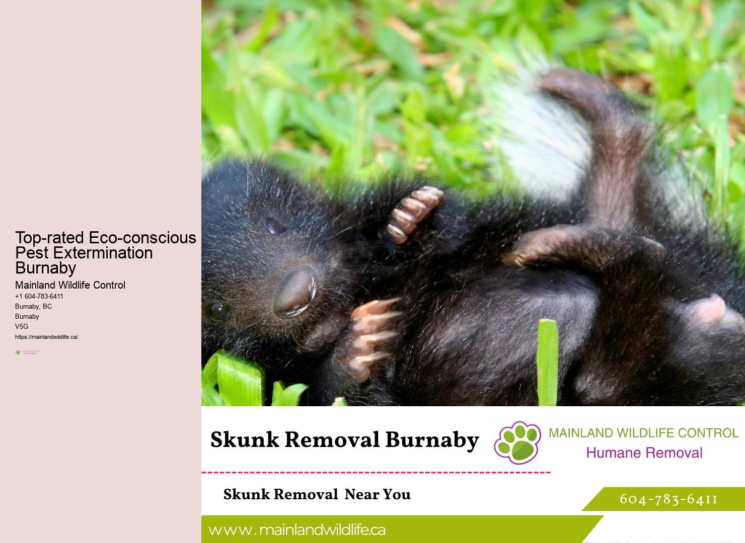 Quick Pest Control Solutions Burnaby