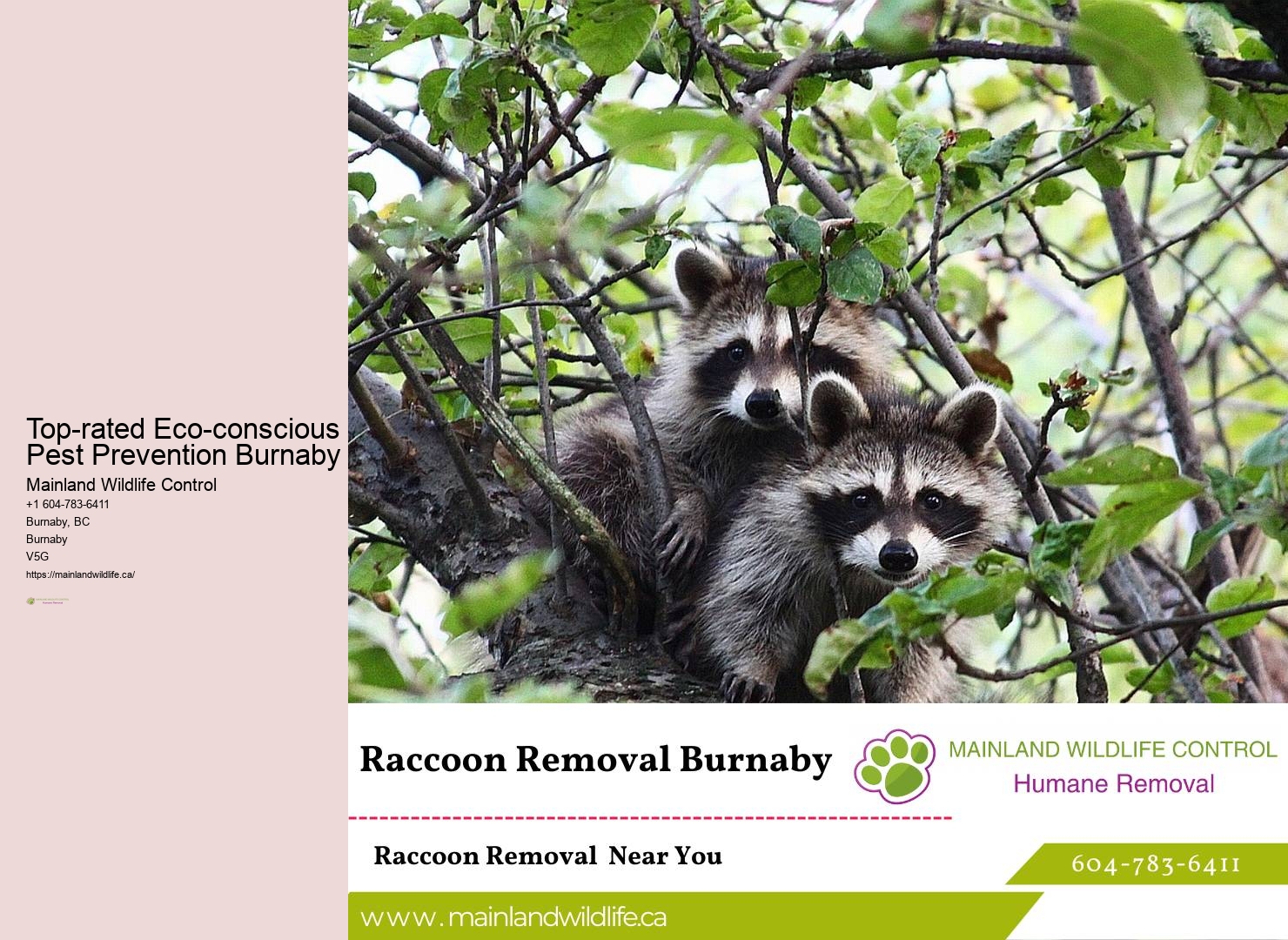 Detailed Pest Control Reports Burnaby