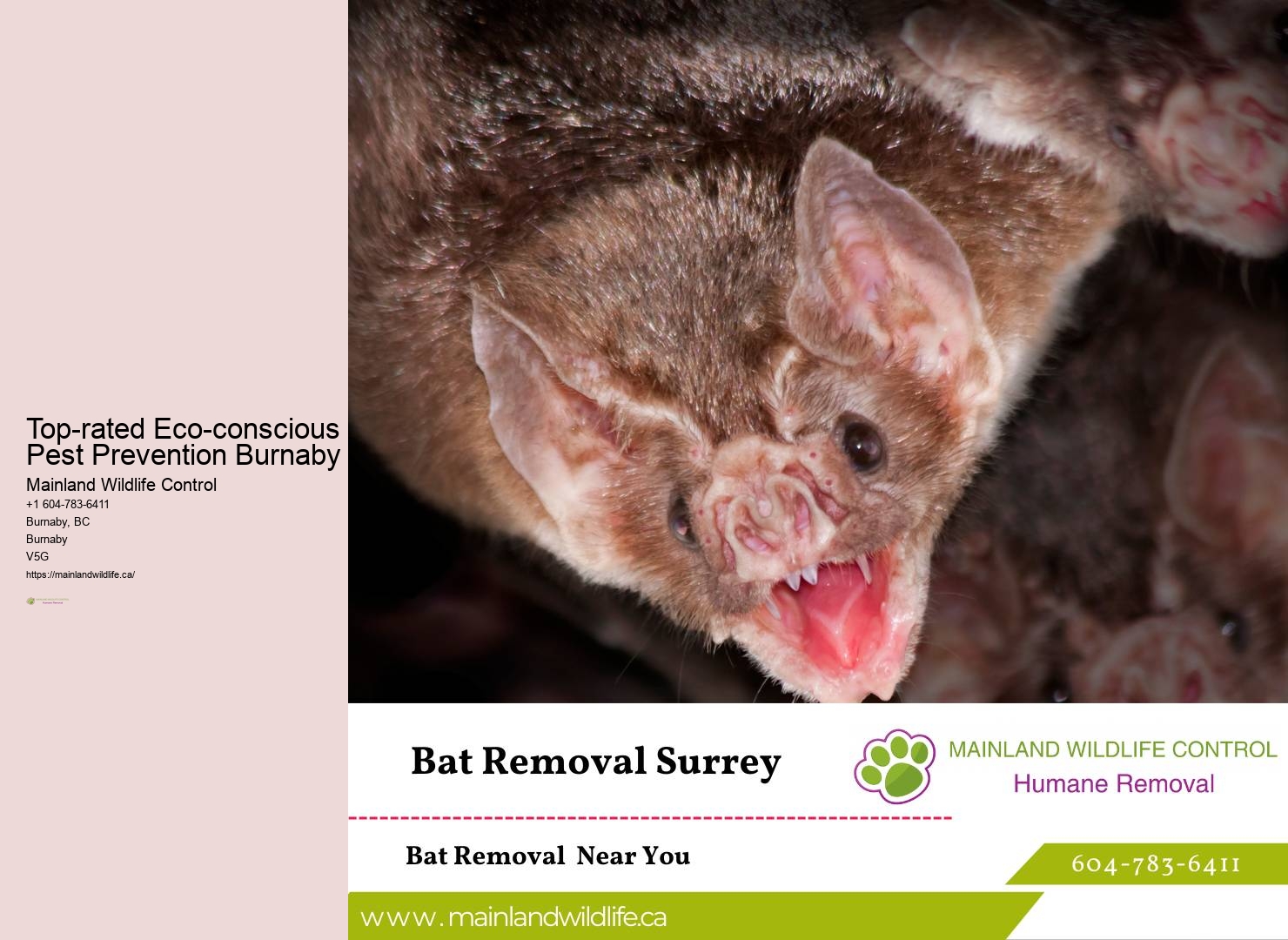 Advanced Residential Pest Removal Burnaby
