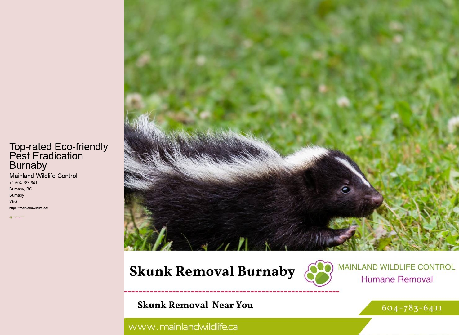 Pest Control Specialists Burnaby