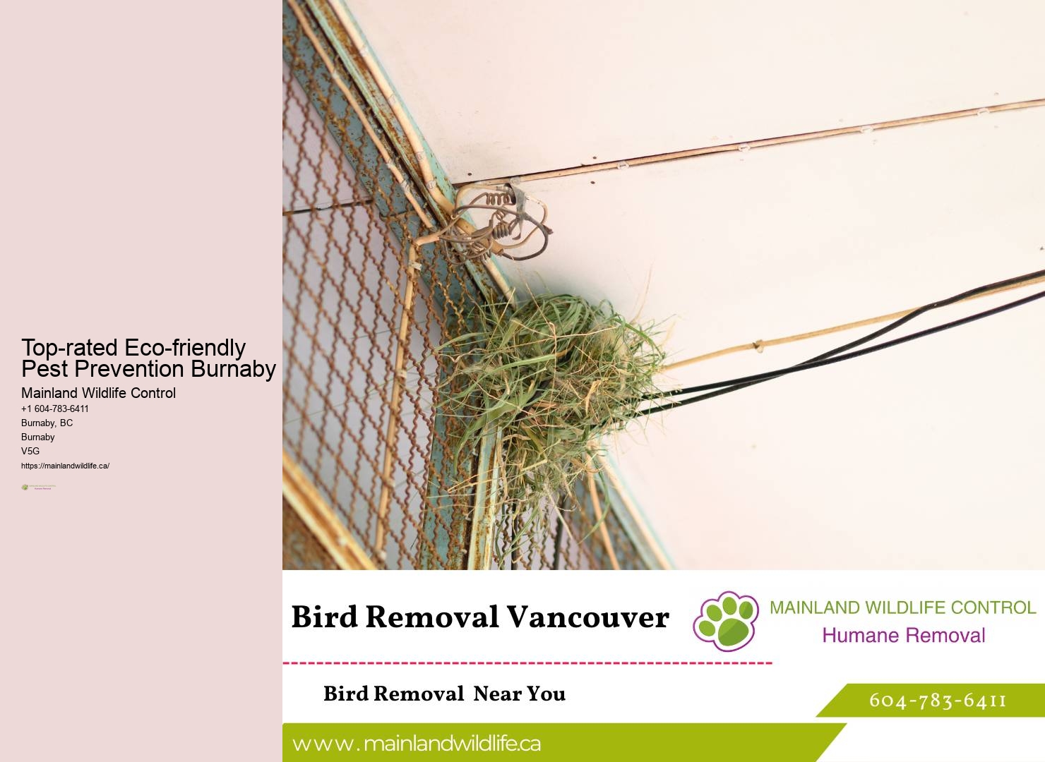 Customized Pest Control Solutions Burnaby