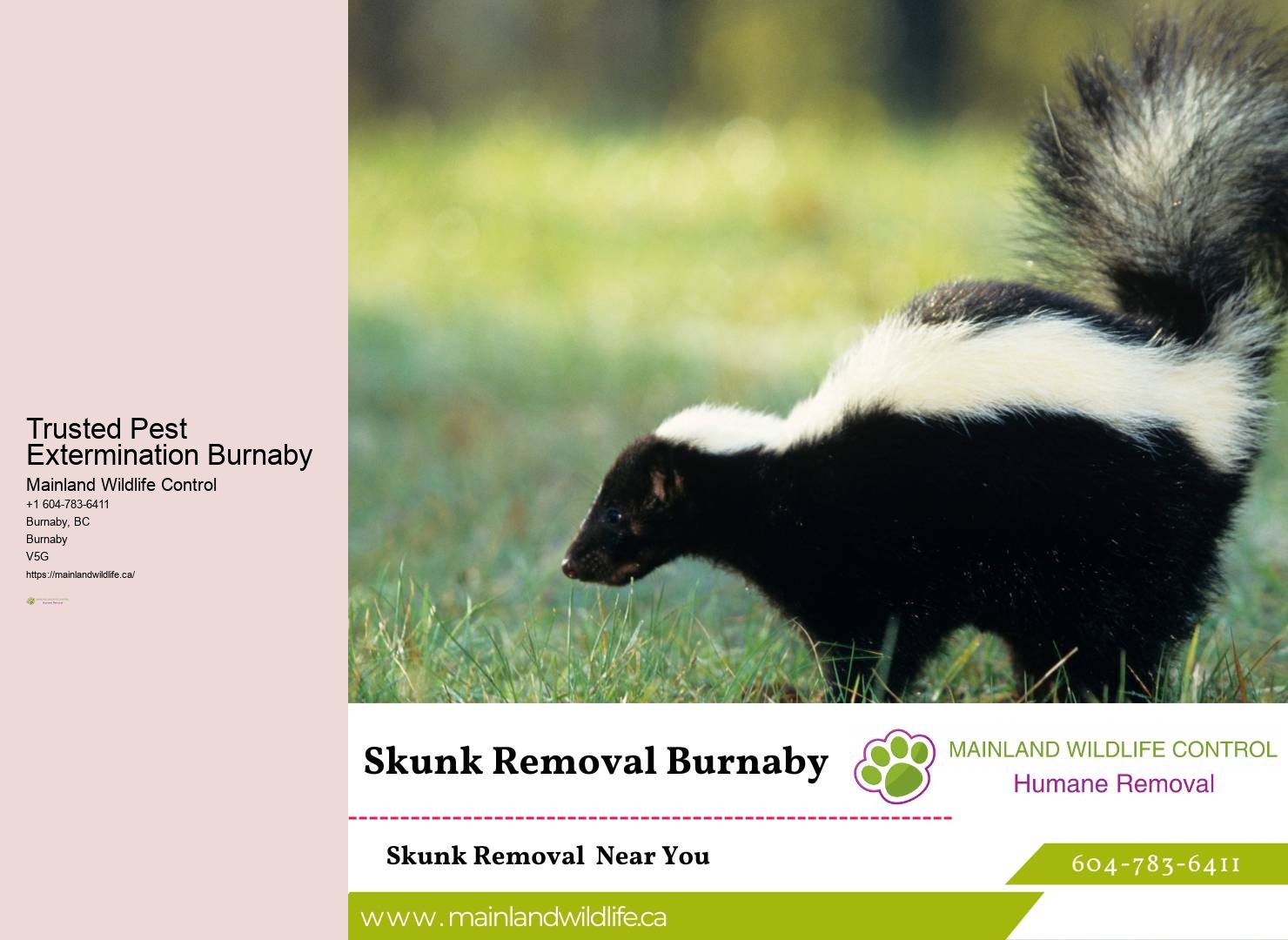 Burnaby insect control