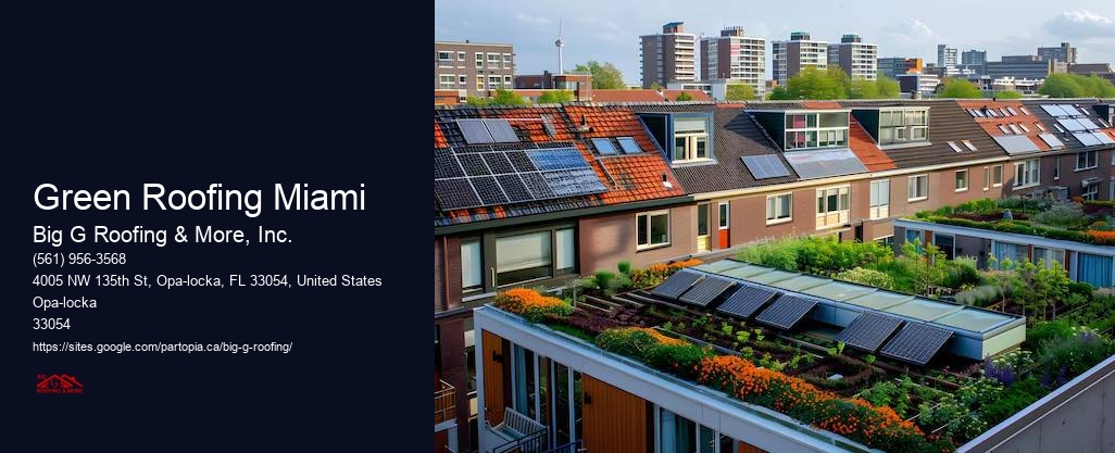 Green Roofing Miami