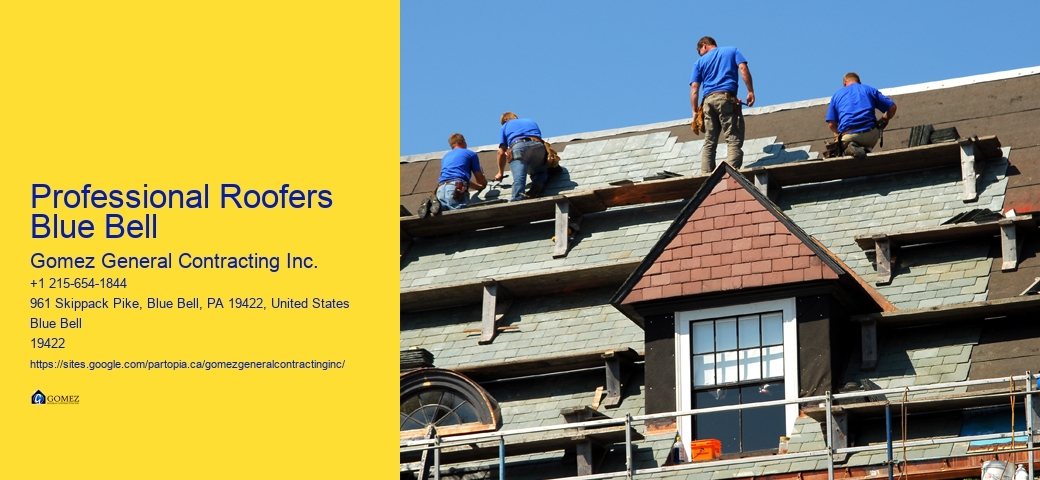 Professional Roofers Blue Bell