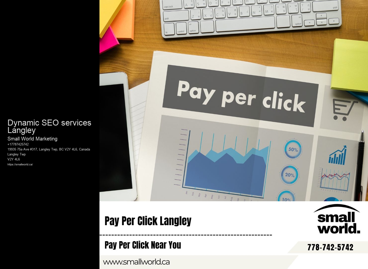 SEO Consultation Services Dynamic SEO services Langley