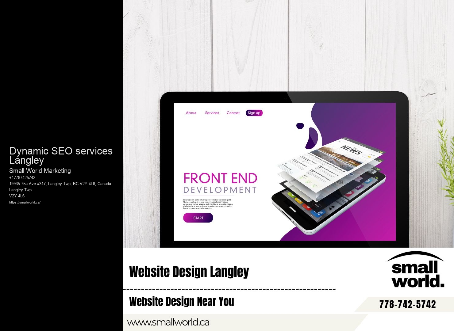 Dynamic SEO services Langley SEO for startups tips