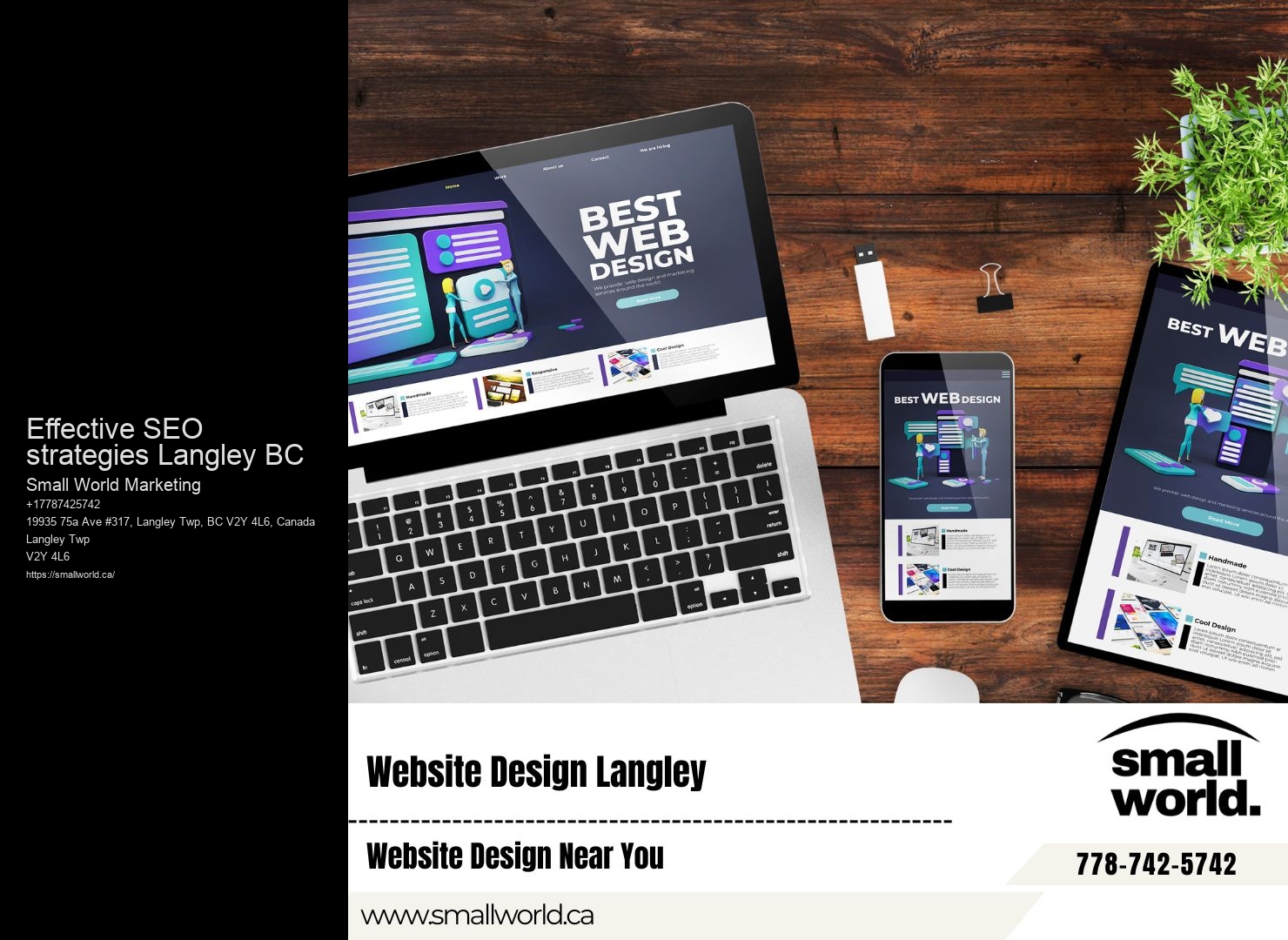 SEO experts in Effective SEO strategies Langley BC