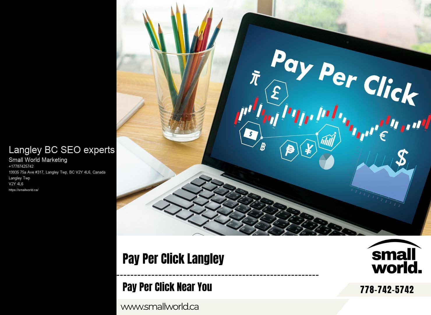 SEO Consultation Specialist Langley BC SEO experts
