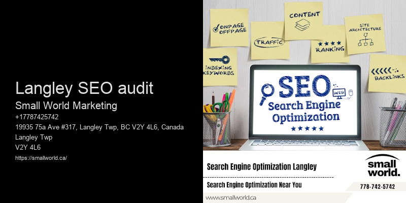 Langley SEO audit