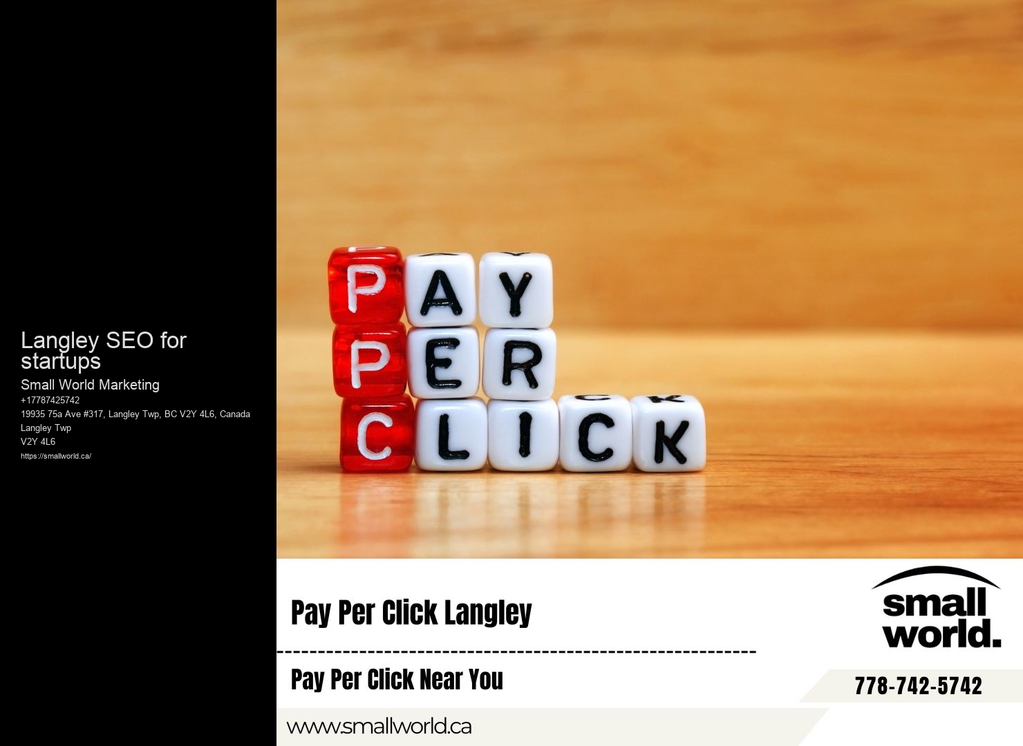 Leading SEO agency Langley SEO for startups