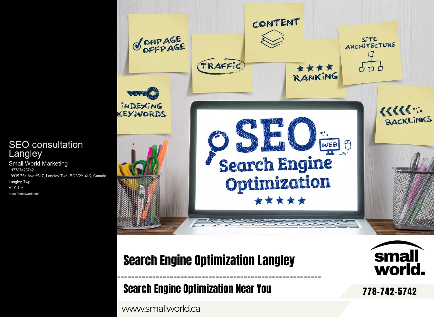SEO consultation Langley SEO for startups analysis