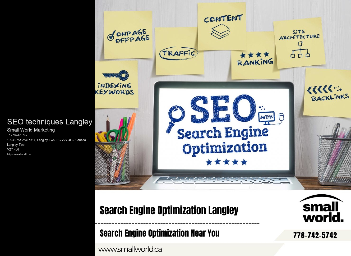 SEO techniques Langley SEO Reputation Management