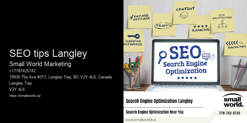SEO tips Langley