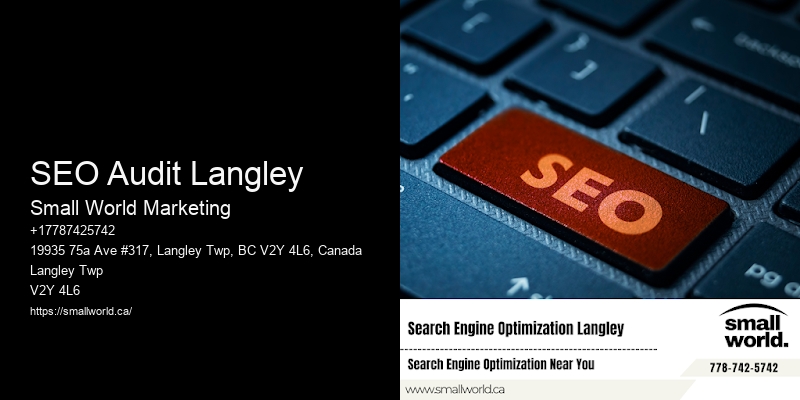 SEO Audit Langley