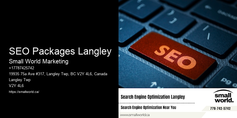 SEO Packages Langley
