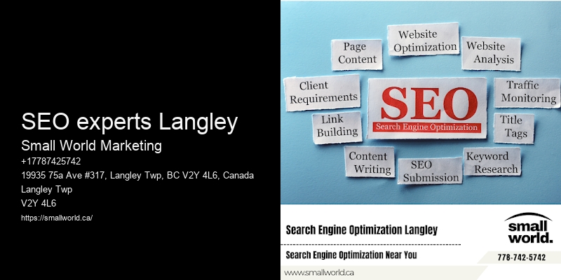 SEO experts Langley