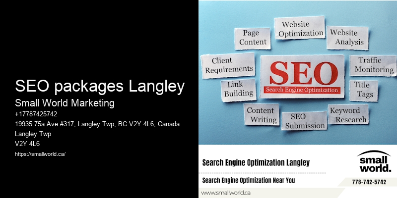 SEO packages Langley